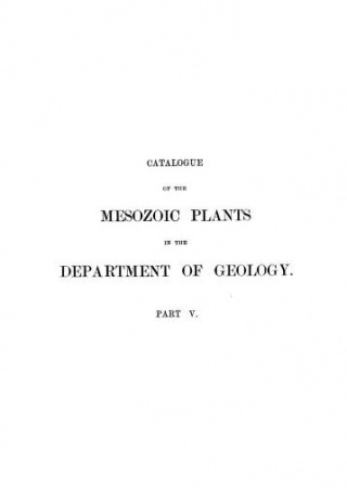Catalogue of the Mesozoic plants in the British museum (Natural history) The Cretaceous flora.