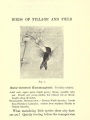 Ruby-throated Hummingbird | Birds of Village and Field: A Bird Book for Beginners, 1898, Biodiversity Heritage Library